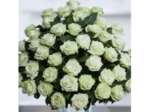 The Color of Your Day - 48 Stems In Bouquet